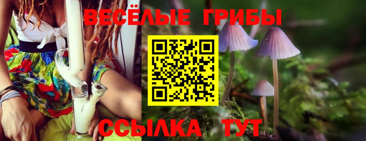 Псилоцибиновые грибы Psilocybe  Вход с VPN  Киселёвск  Галлюциногенные грибы Cubensis 